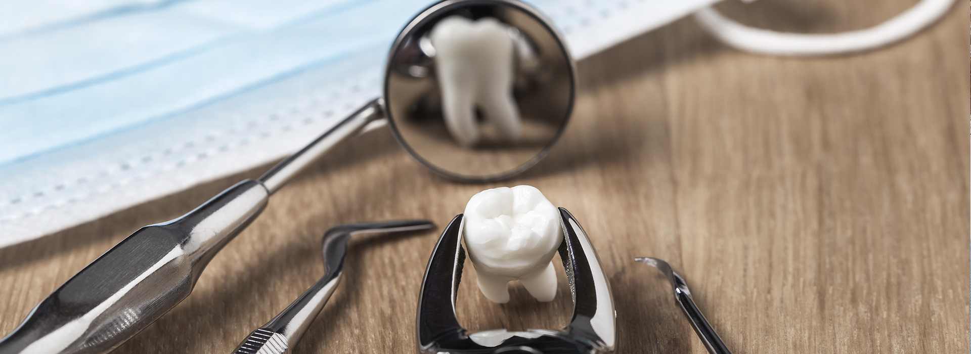 James K Shearer DMD | Root Canals, Ceramic Crowns and Sports Mouthguards