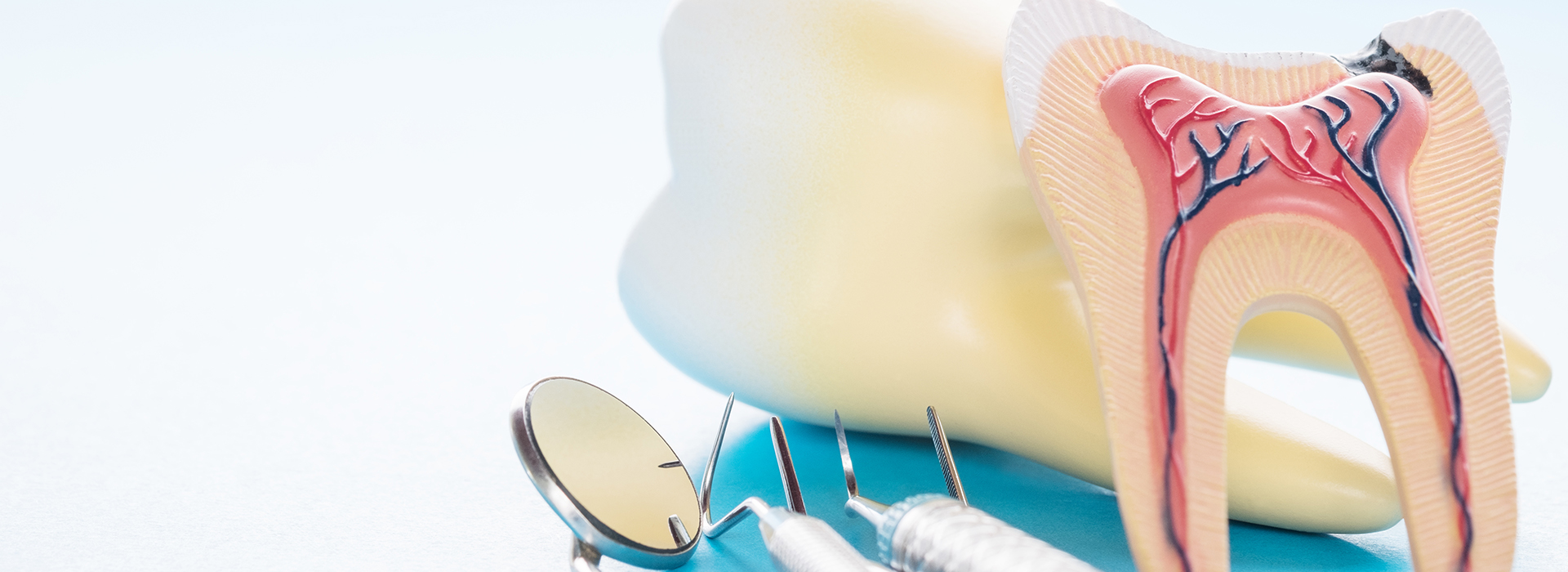 James K Shearer DMD | Sports Mouthguards, Veneers and Dental Fillings